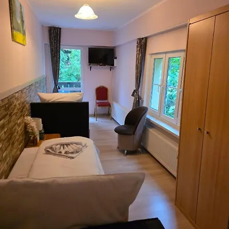 Krokusowa Przystan-spa,restauracja I W Gorach Sowich