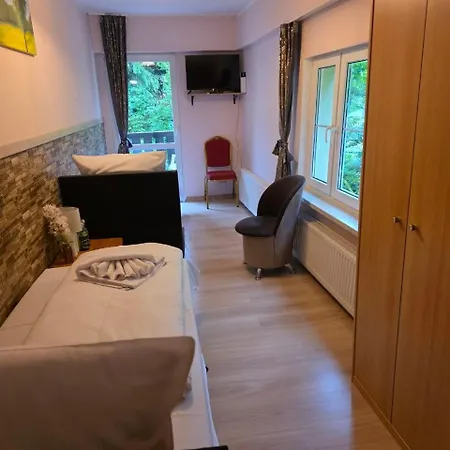 Krokusowa Przystan-spa,restauracja I W Gorach Sowich 3* Rzeczka